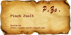 Pisch Zsolt névjegykártya